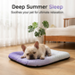 💖LAST DAY SALE ONLY￡6.99!!❄️Pet Cooling Mat for Dogs & Cats 🐾 Naturally Cool Ice-Silk Pad • Breathable, Washable & Soft 🌿  For Floors, Sofas & Car Travel • Multiple Sizes • Gradient Colours ☀️🐶🐱