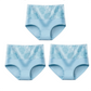 Buy 1 Get 3 Packs🔥Seamless High Waist Tummy Control Leak proof Panties