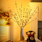 🎄Christmas Limited 50% OFF🎄LED Willow Branch Lights Battery-Powered Twig Light