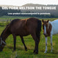 🏆LAST DAY SALE - BUY 1 GET 1 FREE🐎Ivermectin Horse Paste 1.87% 6.08g Tubes