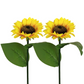 🔥Hot Sale 50% OFF!🌻✨Sunflower Solar Garden Stake Led Lights