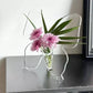 💐2026 HOT SALE-50% OFF🦋 Transparent Butterfly Vase – crystal-clear plastic with a stable base. Perfect for flowers, table decor and gifting! ✨💐