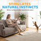 🔥Limited Time 50% OFF🐾Interactive Pet Treat Launcher & Feeder