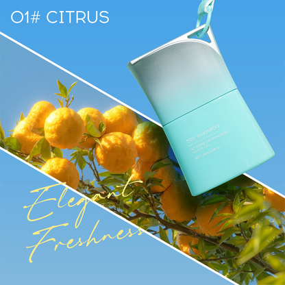 ⏳LAST DAY SALE ONLY ￡9.99!!🔥No-Rinse Dry Shampoo Gel with Built-In Comb — Volumizing No-Wash Hair Cleanser for Instant Freshness🌸