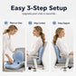 🎉Limited Time Sale - 60% OFF✨Ergonomic Memory Foam Seat Cushion with Back Support