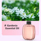 2026 HOT SALE-50% OFF🥳Freshen Any Room Instantly! No-Cord Timed Aroma Diffuser
