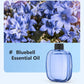 2026 HOT SALE-50% OFF🥳Freshen Any Room Instantly! No-Cord Timed Aroma Diffuser
