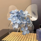 💐2026 HOT SALE-50% OFF🦋 Transparent Butterfly Vase – crystal-clear plastic with a stable base. Perfect for flowers, table decor and gifting! ✨💐