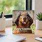 🥳2026 HOT SALE🥳💞50K+ SOLD!📢📢49% OFF !Funny Capybara Calendar 2027