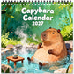🥳2026 HOT SALE🥳💞50K+ SOLD!📢📢49% OFF !Funny Capybara Calendar 2027