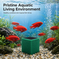 🐠💧 50% OFF! Activated Carbon Filter Cube – honeycomb filtration clears cloudy water, removes odors. Anti-crumble block for crystal-clear aquarium! 🛡️✅