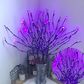 🎄Christmas Limited 50% OFF🎄LED Willow Branch Lights Battery-Powered Twig Light